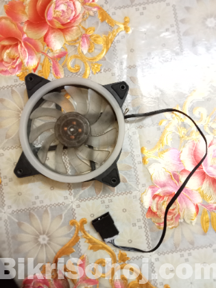 Rgb Fan